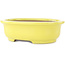 Pot à bonsaï ovale jaune de Yamafusa - 187 x 153 x 55 mm