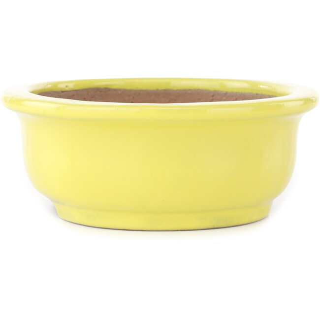 Vaso bonsai ovale giallo di Yamafusa - 187 x 153 x 55 mm
