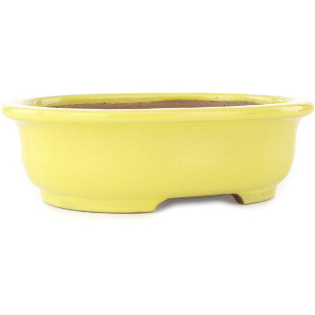 Oval yellow bonsai pot by Yamafusa - 187 x 153 x 55 mm