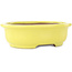 Pot à bonsaï ovale jaune de Yamafusa - 187 x 153 x 55 mm