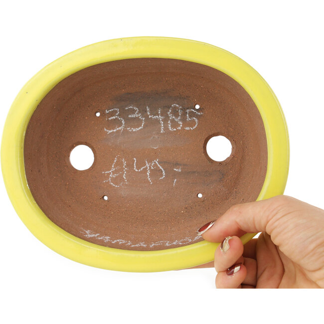 Oval yellow bonsai pot by Yamafusa - 187 x 153 x 55 mm