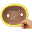 Pot à bonsaï ovale jaune de Yamafusa - 187 x 153 x 55 mm