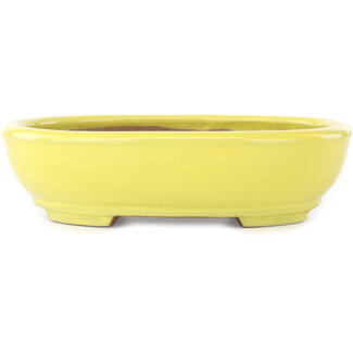  Yamafusa - Takehiko Koie 190 mm oval yellow bonsai pot by Yamafusa, Tokoname, Japan