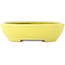 Oval yellow bonsai pot by Yamafusa - 190 x 150 x 50 mm