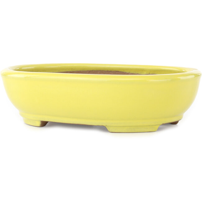 Ovale gele bonsai pot van Yamafusa - 190 x 150 x 50 mm