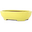 Oval yellow bonsai pot by Yamafusa - 190 x 150 x 50 mm