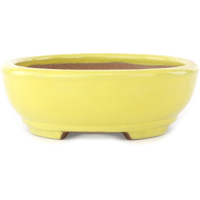 Oval yellow bonsai pot by Yamafusa - 190 x 150 x 50 mm