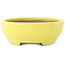 Oval yellow bonsai pot by Yamafusa - 190 x 150 x 50 mm