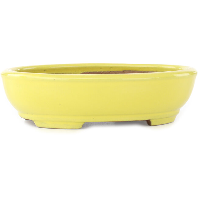 Oval yellow bonsai pot by Yamafusa - 190 x 150 x 50 mm