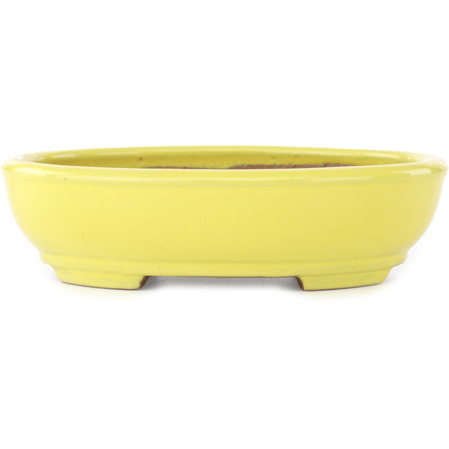 Vaso bonsai ovale giallo di Yamafusa - 190 x 150 x 50 mm