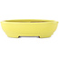 Oval yellow bonsai pot by Yamafusa - 190 x 150 x 50 mm