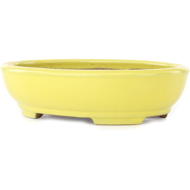 Ovale gele bonsai pot van Yamafusa - 190 x 150 x 50 mm