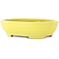 Oval yellow bonsai pot by Yamafusa - 190 x 150 x 50 mm