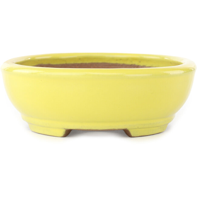Ovale gele bonsai pot van Yamafusa - 190 x 150 x 50 mm