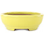 Oval yellow bonsai pot by Yamafusa - 190 x 150 x 50 mm