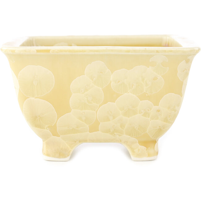 Square beige bonsai pot by Heian Kosen - 135 x 135 x 80 mm
