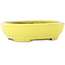 Oval yellow bonsai pot by Yamafusa - 190 x 150 x 50 mm