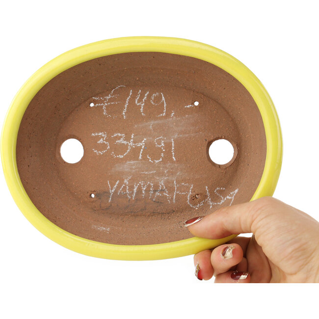 Ovale gele bonsai pot van Yamafusa - 190 x 150 x 50 mm