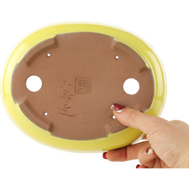 Oval yellow bonsai pot by Yamafusa - 190 x 150 x 50 mm