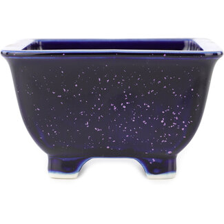 Heian Kosen Vaso bonsai quadrato blu e viola da 135 mm di Heian Kosen, Kyoto, Giappone
