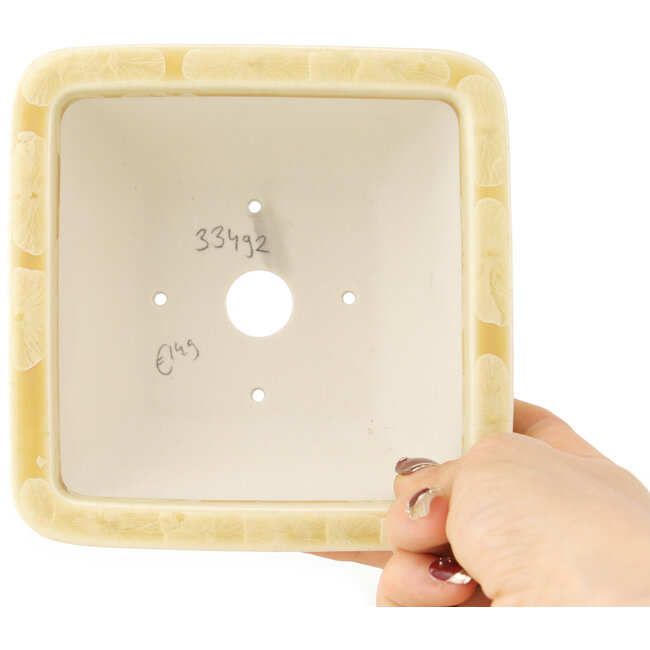 Pot à bonsaï carré beige de Heian Kosen - 135 x 135 x 80 mm