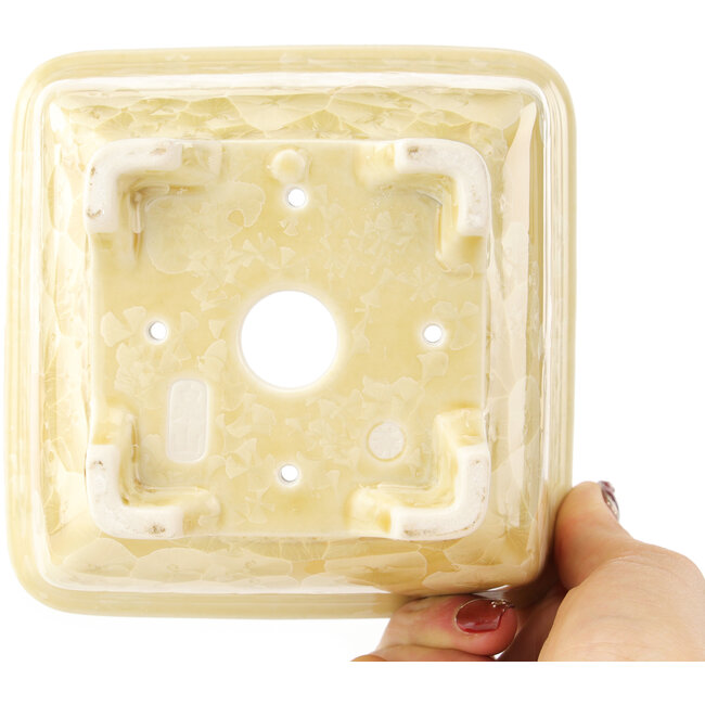 Vierkante beige bonsai pot van Heian Kosen - 135 x 135 x 80 mm