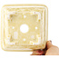 Square beige bonsai pot by Heian Kosen - 135 x 135 x 80 mm