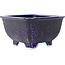 Pot à bonsaï carré bleu et violet de Heian Kosen - 135 x 135 x 80 mm