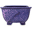 Vierkante blauwe en paarse bonsaipot van Heian Kosen - 135 x 135 x 80 mm