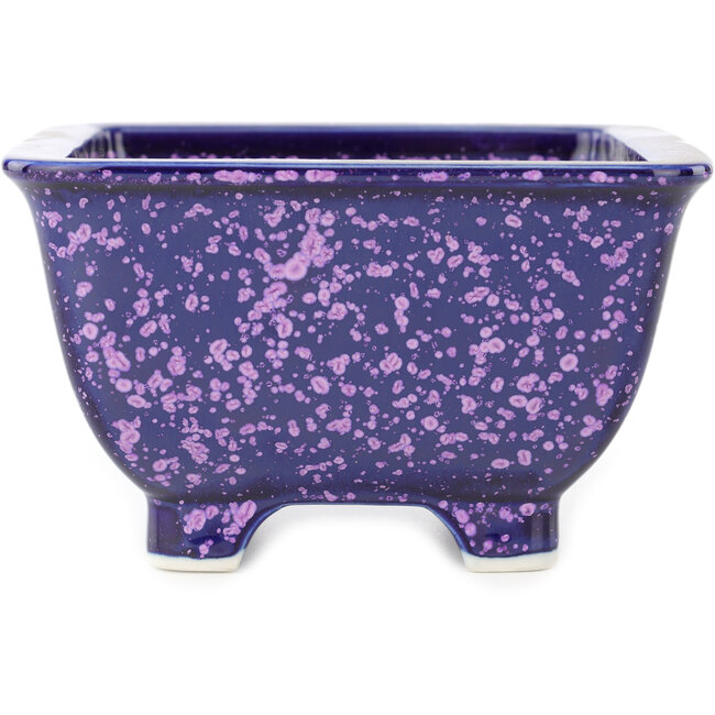 Maceta cuadrada azul y violeta para bonsái de Heian Kosen - 135 x 135 x 80 mm