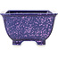 Vierkante blauwe en paarse bonsaipot van Heian Kosen - 135 x 135 x 80 mm