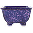 Vierkante blauwe en paarse bonsaipot van Heian Kosen - 135 x 135 x 80 mm