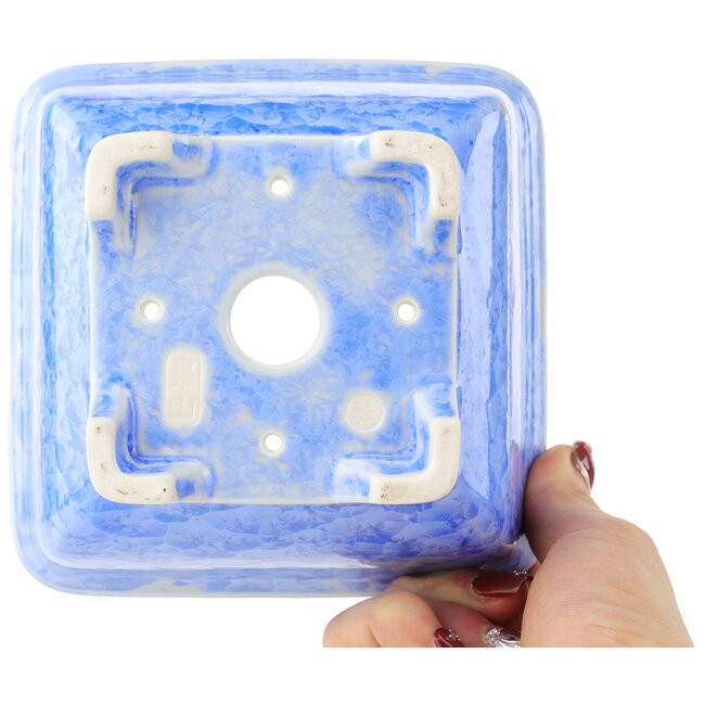 Maceta cuadrada azul para bonsái de Heian Kosen - 135 x 135 x 80 mm