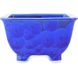 Heian Kosen Vaso bonsai quadrato blu scuro da 135 mm di Heian Kosen, Kyoto, Giappone