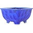 Vierkante donkerblauwe bonsaipot van Heian Kosen - 135 x 135 x 80 mm