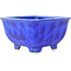 Square dark blue bonsai pot by Heian Kosen - 135 x 135 x 80 mm