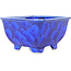 Square dark blue bonsai pot by Heian Kosen - 135 x 135 x 80 mm