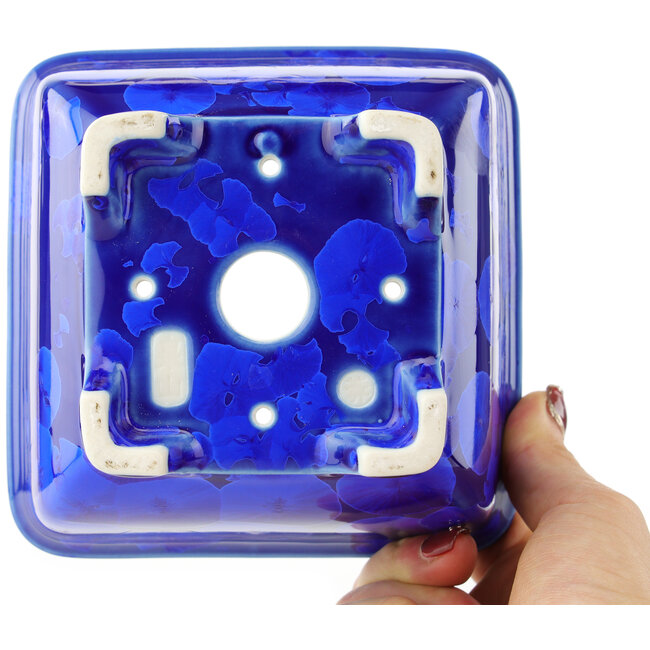Maceta cuadrada azul oscuro para bonsái de Heian Kosen - 135 x 135 x 80 mm