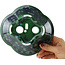Maceta para bonsái Mokko verde y azul de Heian Kosen - 170 x 160 x 57 mm