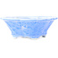 Mokko blue bonsai pot by Heian Kosen - 155 x 137 x 55 mm