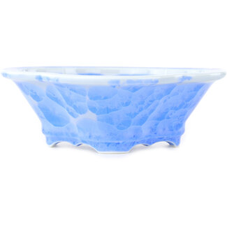 Heian Chikuzan Maceta para bonsái azul mokko de 170 mm de Heian Kosen, Kioto, Japón