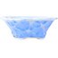 Pot à bonsaï bleu Mokko de Heian Kosen - 170 x 160 x 57 mm