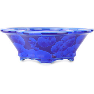 Heian Chikuzan Pot à bonsaï mokko bleu foncé 155 mm par Heian Kosen, Kyoto, Japon