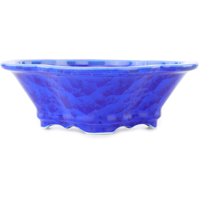 Vaso bonsai Mokko blu scuro di Heian Kosen - 170 x 160 x 57 mm