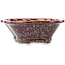 Vaso bonsai multicolore marrone Mokko di Heian Kosen - 155 x 137 x 55 mm