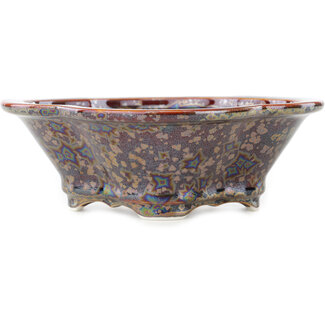 Heian Kosen Pot à bonsaï multicolore marron mokko 170 mm par Heian Kosen, Kyoto, Japon