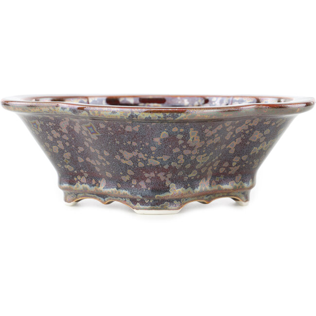 Maceta para bonsái multicolor marrón Mokko de Heian Kosen - 170 x 160 x 57 mm