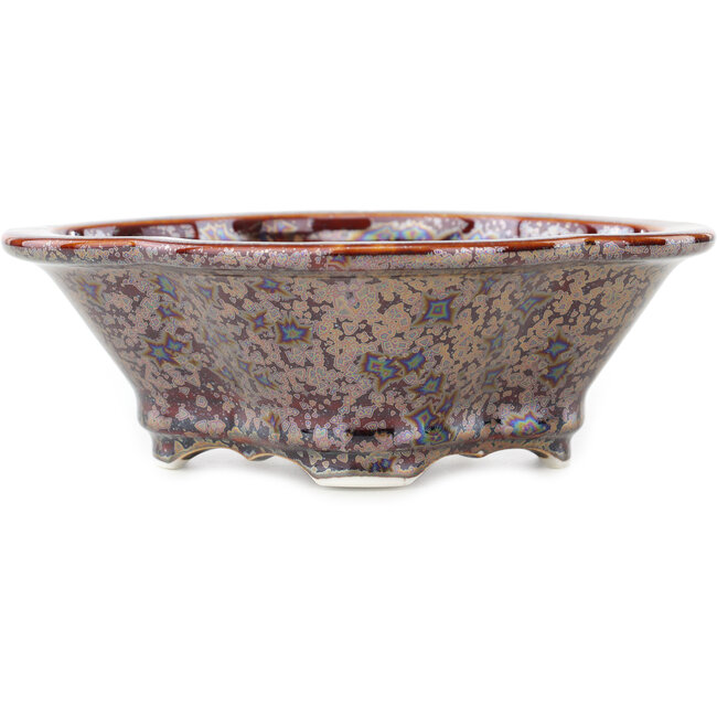 Vaso bonsai multicolore marrone Mokko di Heian Kosen - 170 x 160 x 57 mm
