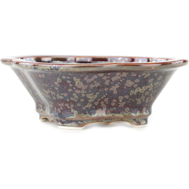 Maceta para bonsái multicolor marrón Mokko de Heian Kosen - 170 x 160 x 57 mm