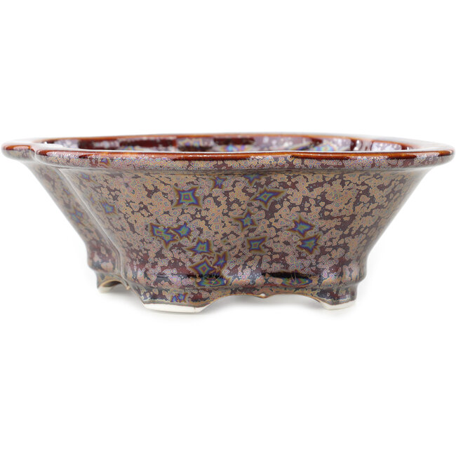 Mokko bruine multicolor bonsai pot van Heian Kosen - 170 x 160 x 57 mm